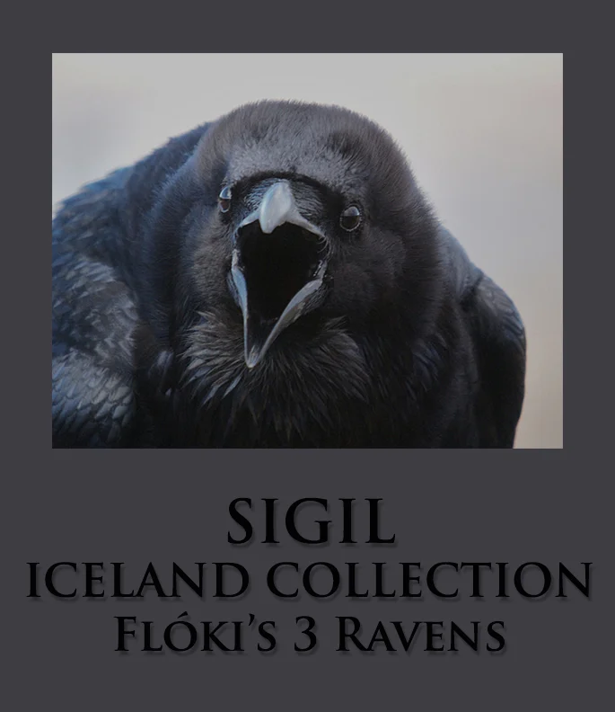 Flóki’s 3 Ravens.jpg