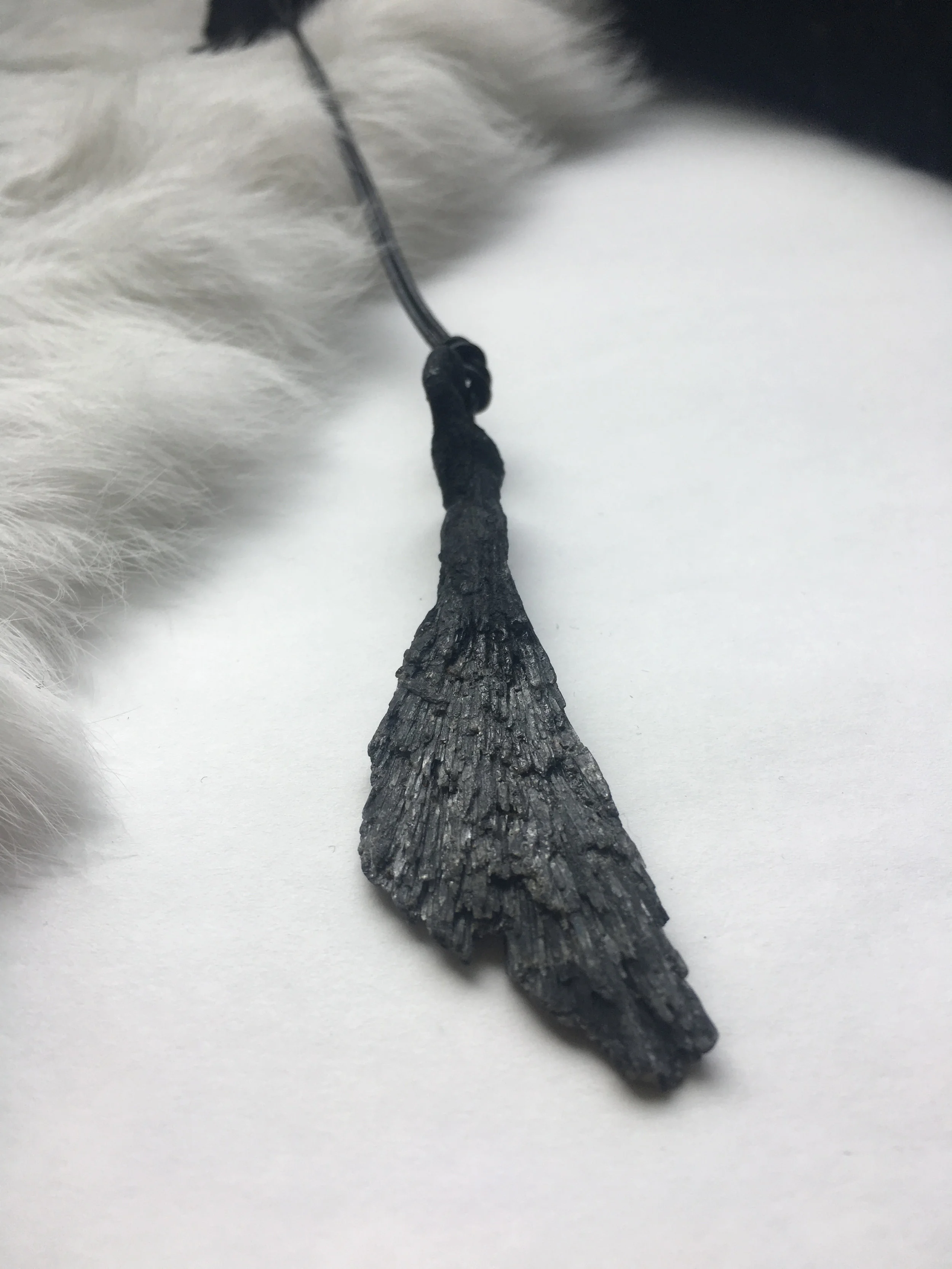 White Background 18.jpg