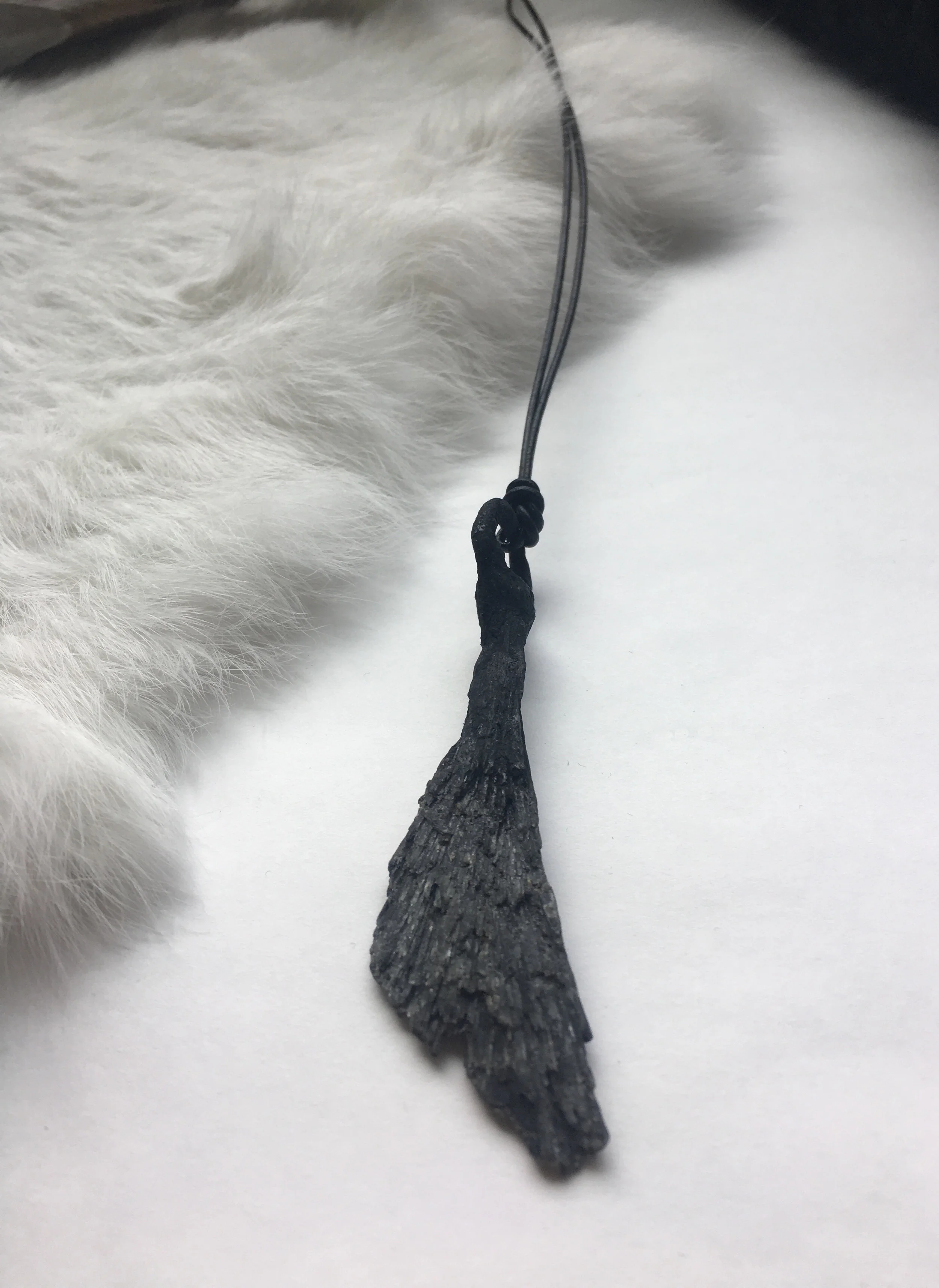 White Background 23.jpg