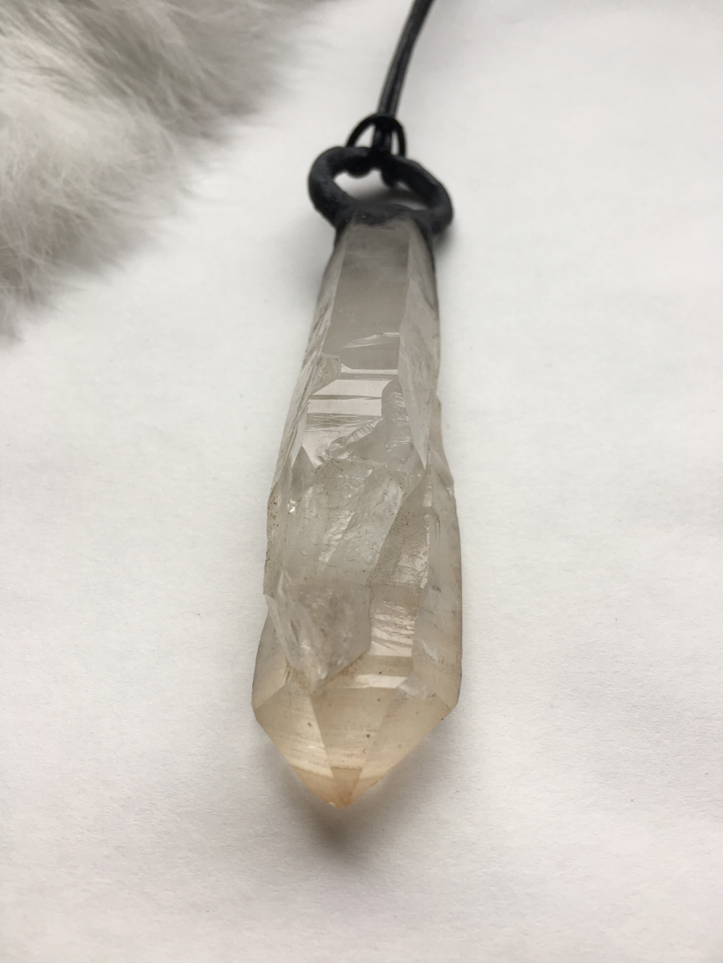 White Background 8.jpg