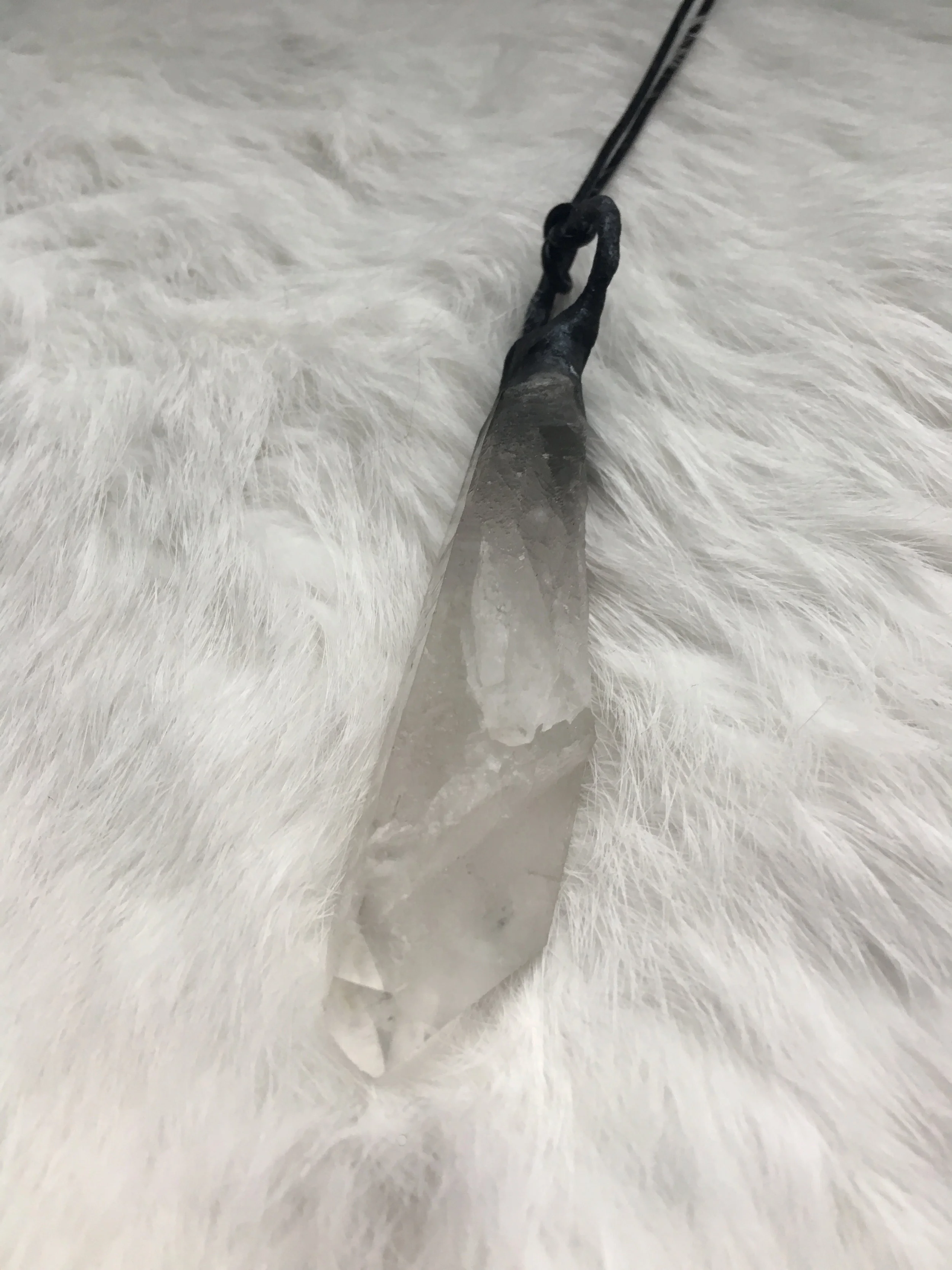 White Background 1.jpg