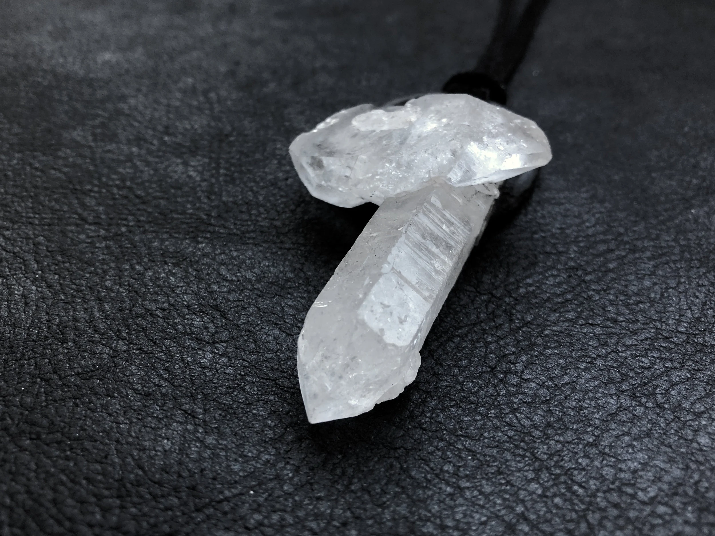 CU angled left 2.jpg