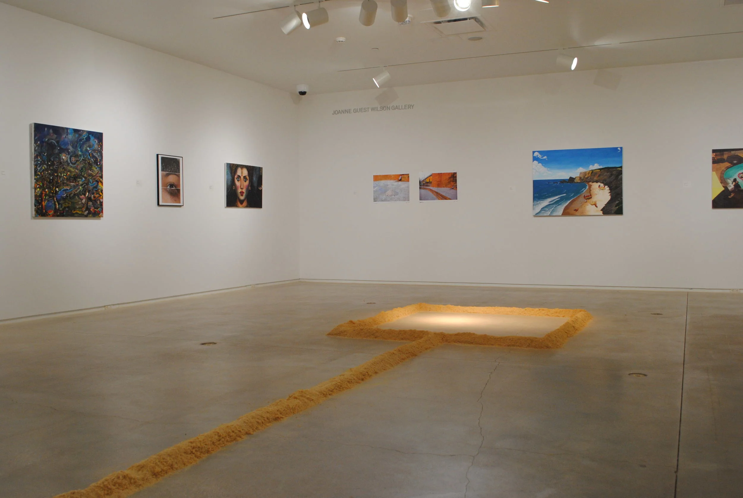 UH Student Exhibition 2015_03.JPG