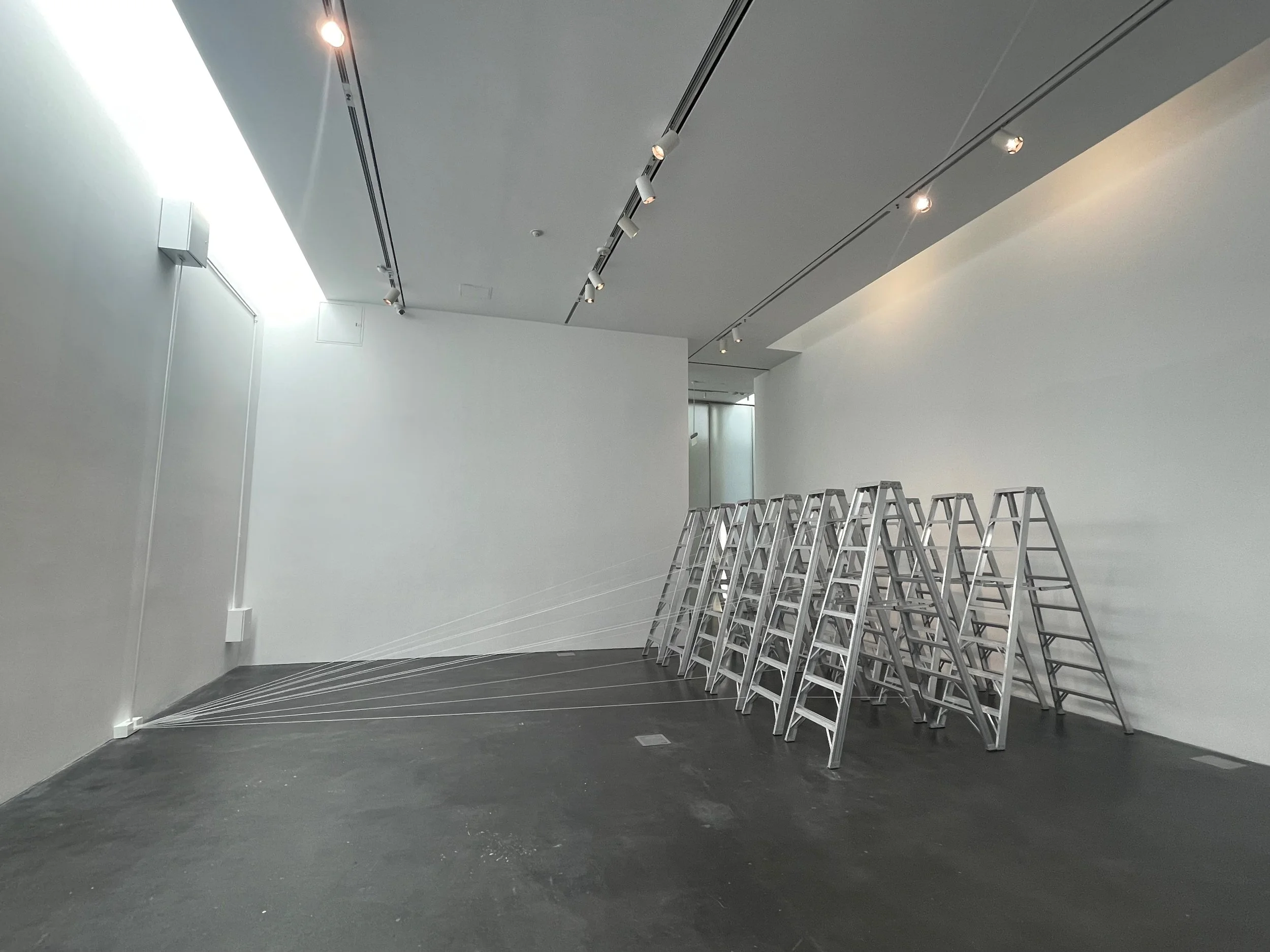 DULVALL_LADDERS_MCA DENVER - 1.jpeg