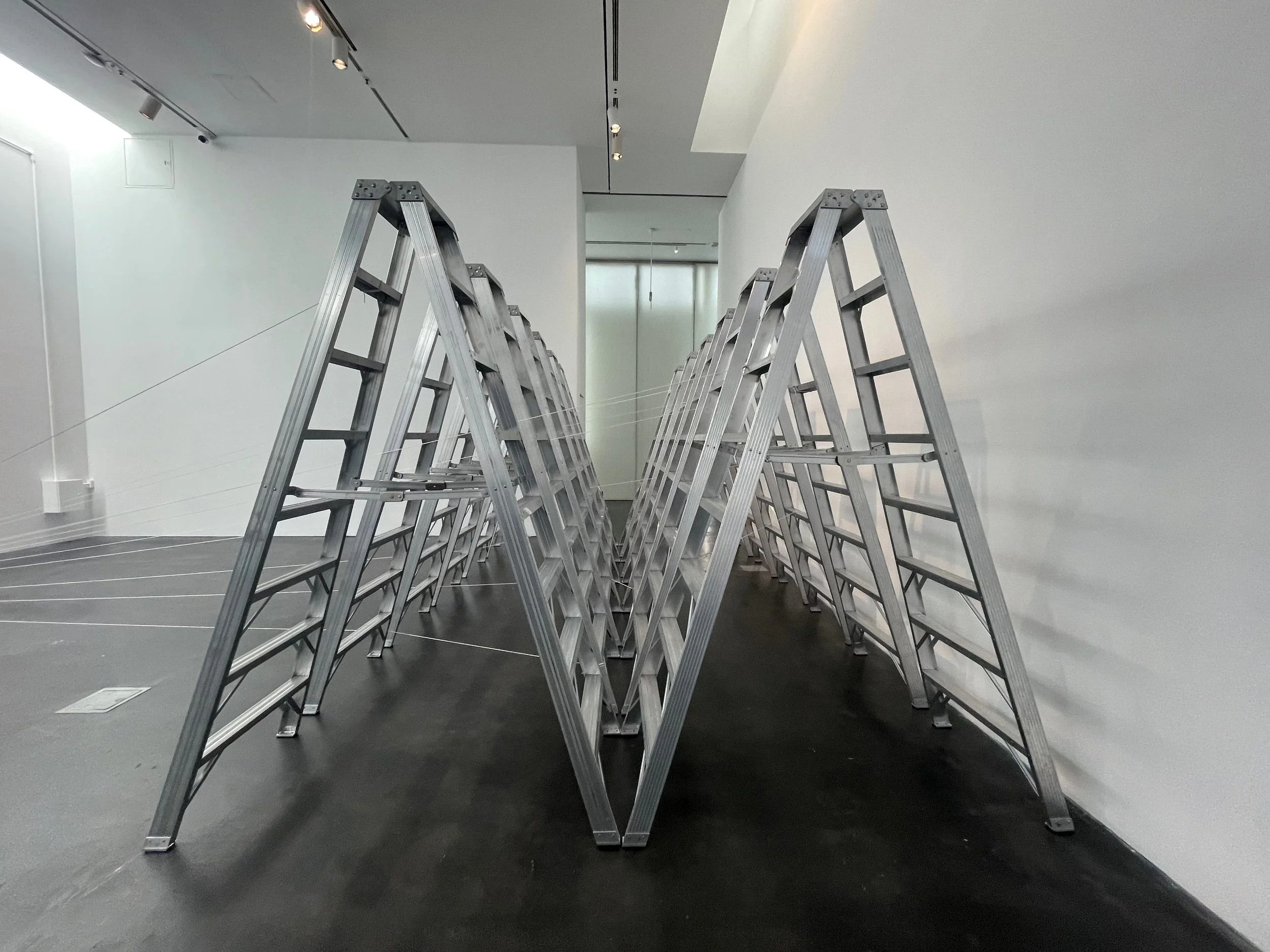 DULVALL_LADDERS_MCA DENVER - 3.jpeg