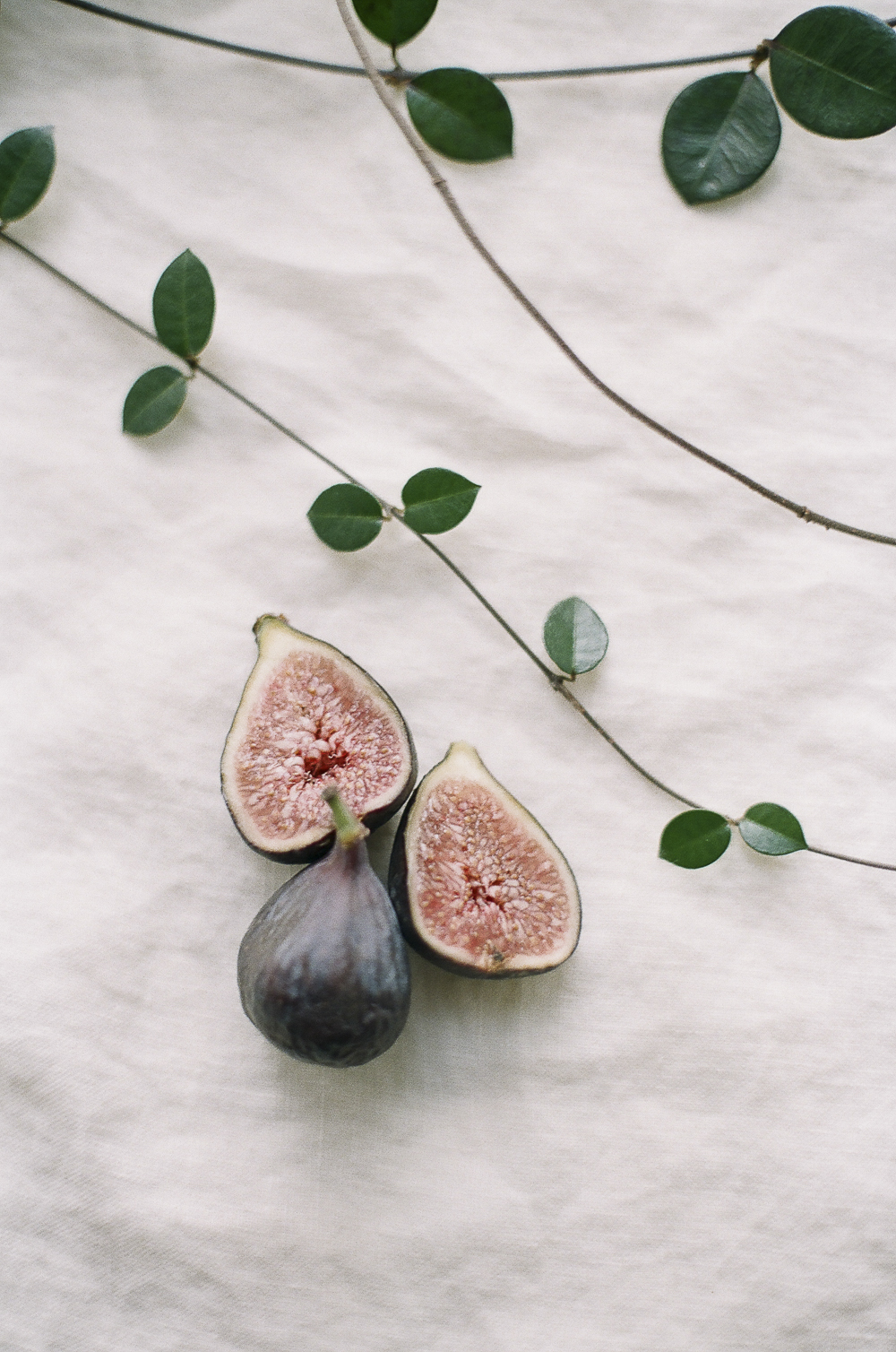 figs-17.jpg