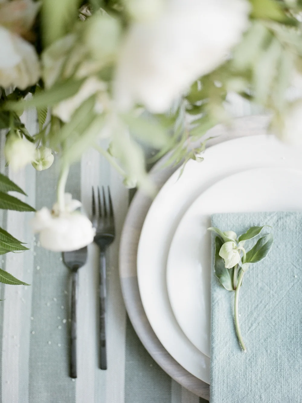 christine-gosch-barr-mansion-austin-wedding-venues-venue-simple-film-photographer-wedding-sparrow-alexandra-grecco-sprout-floals-feathers-and-frosting-classic-inspired-photography-mayhar-design21.jpg
