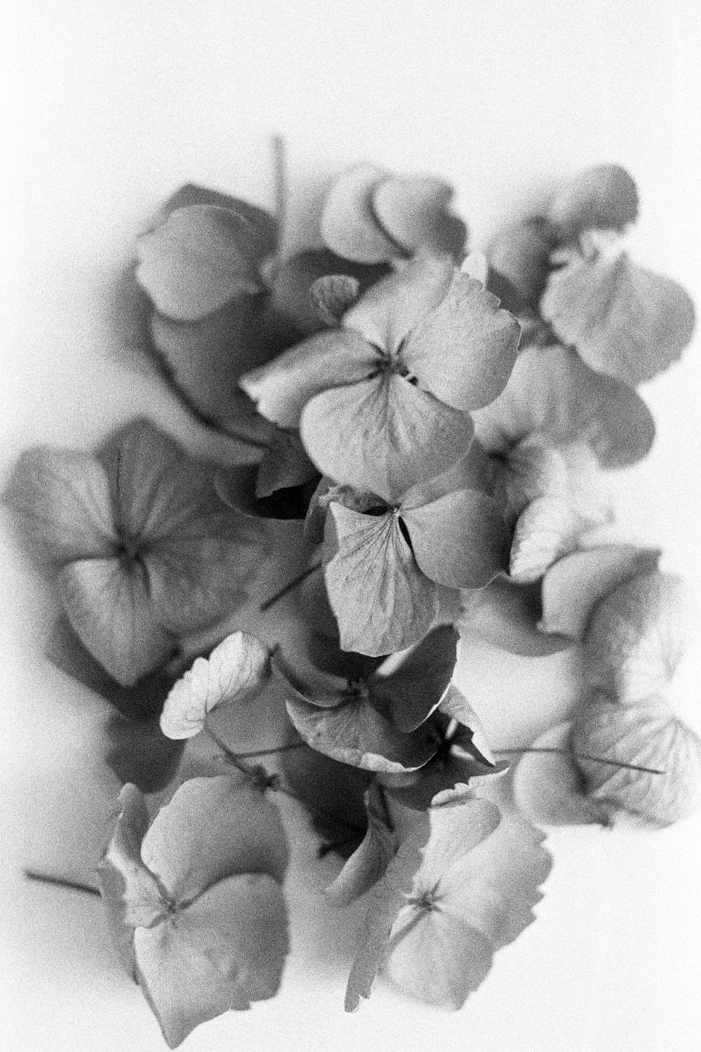 wedding-details-rings-bands-christine-gosch-film-photographer-black-and-white-houston-texas-wedding-venue-35mm-photography-fine-art-5.jpg