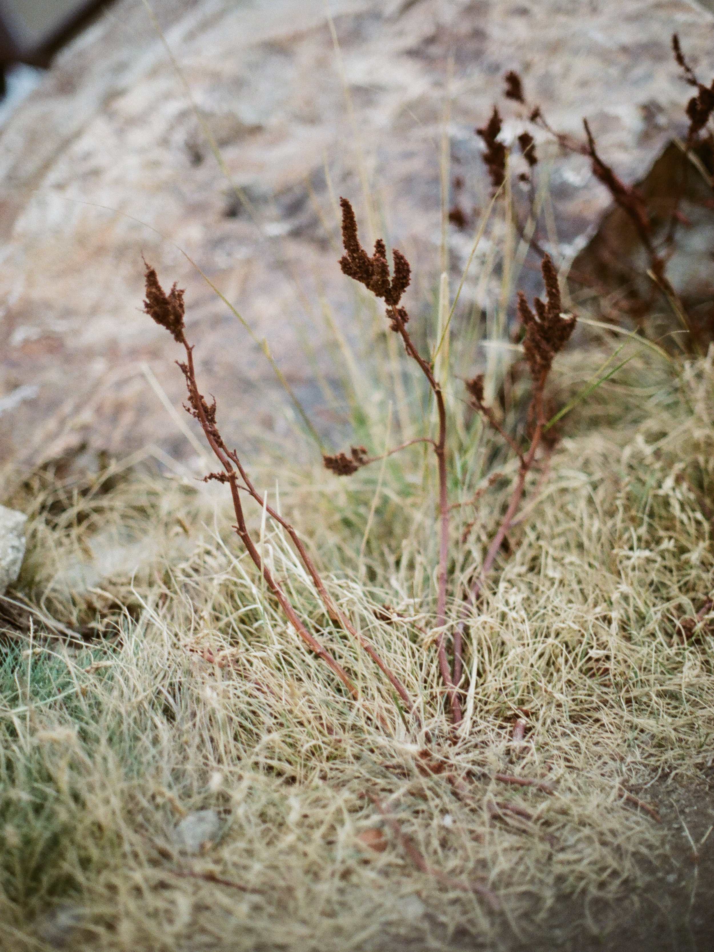 Elopement photographer - destination and intimate wedding photographer - Christine Gosch