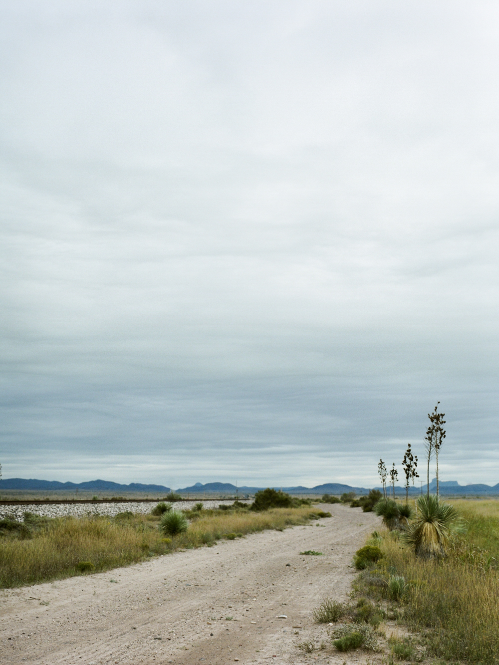 Christine Gosch - destination film photographer - houston wedding photographer - fine art film photographer - elopement photographer - destination wedding - understated wedding - simple beautiful wedding photography-89.jpg