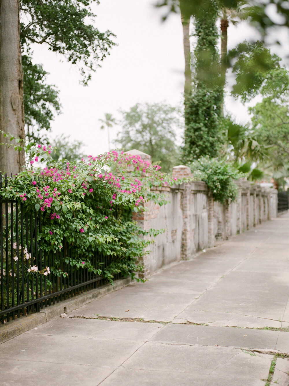 Christine Gosch - Galveston wedding photographer - The Bryan Museum-22.jpg