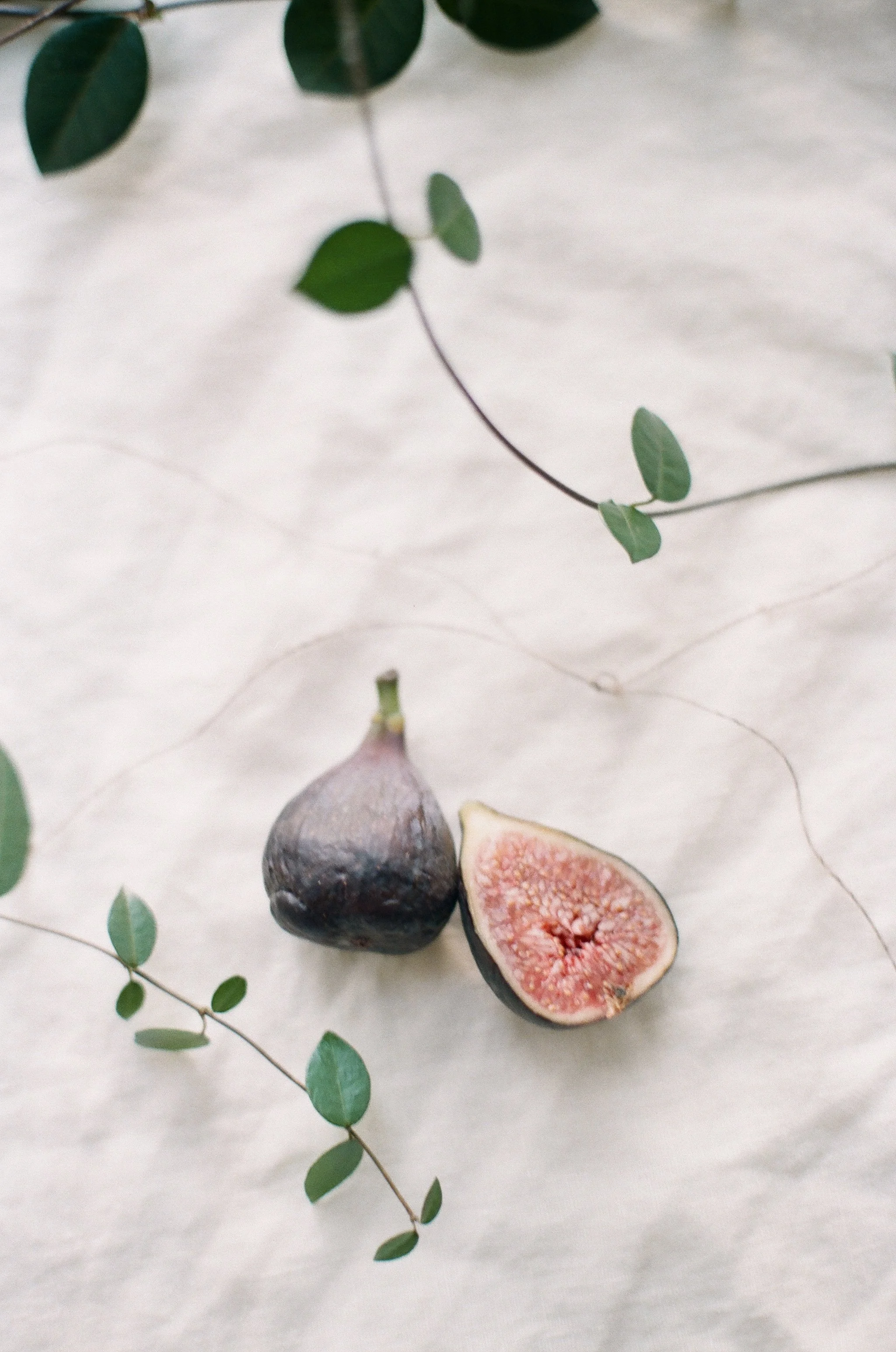 Country Figs-Lightbulb League-5.jpg