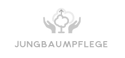 Jungbaumpflege, Erziehungsschnitt