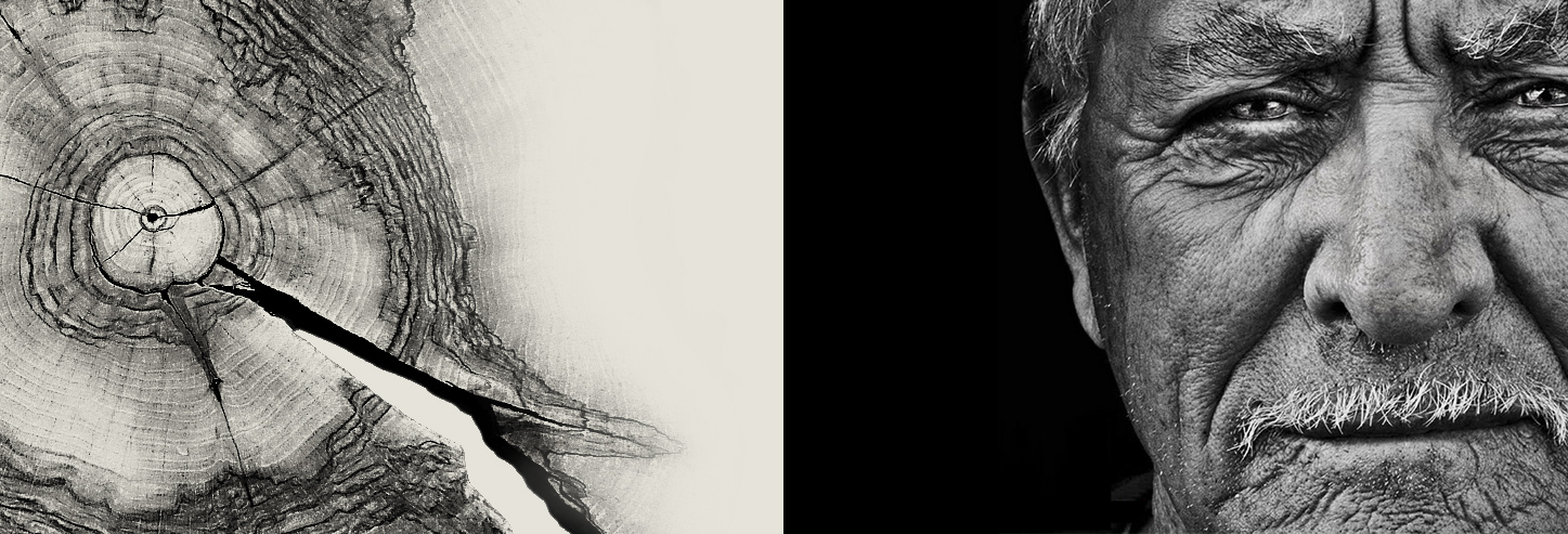 header-04.jpg