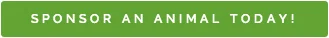 sponsorbutton.jpg