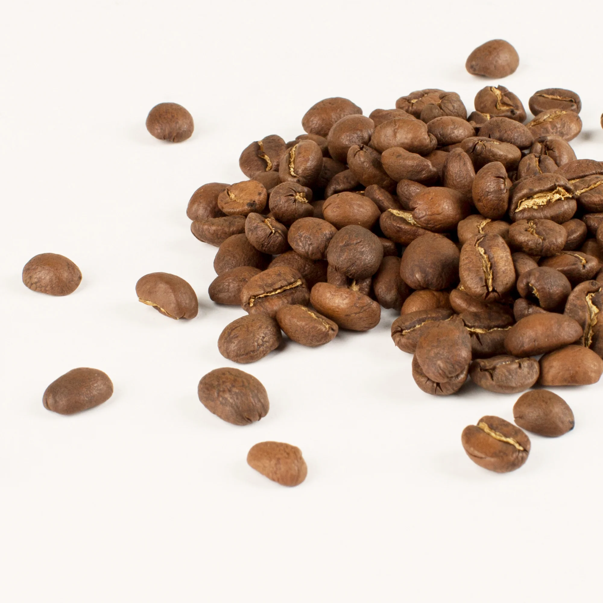 2019_LostDogCycling_Iron&Kin_GordonStreetBlend_StudioPhoto_005.jpg