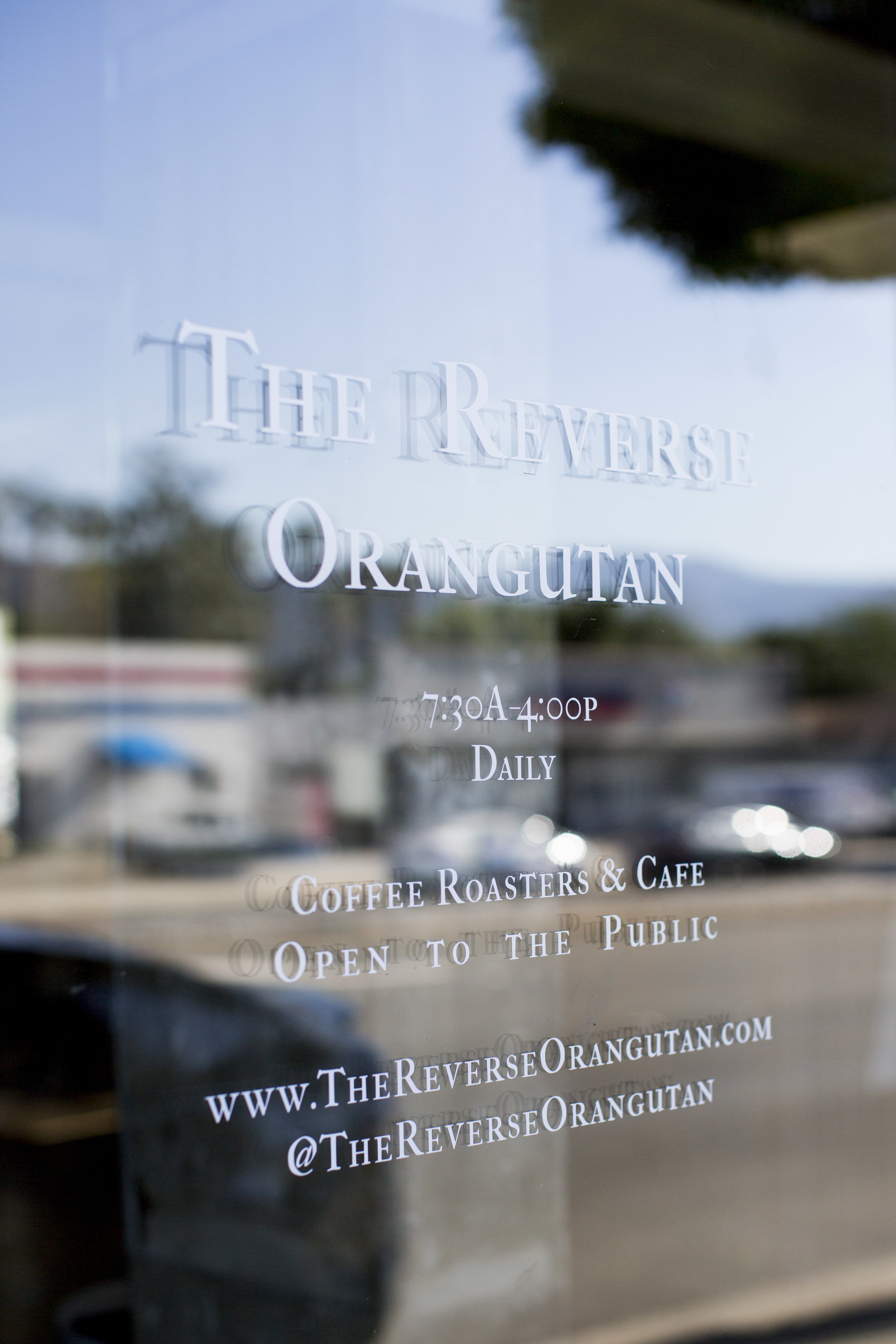 2019_LostDogCycling_Blog_ShopVisit_TheReverseOrangutan_04.18.19_LifestylePhotos_011.jpg