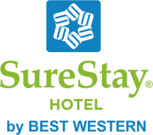 LOGO-300x264.png