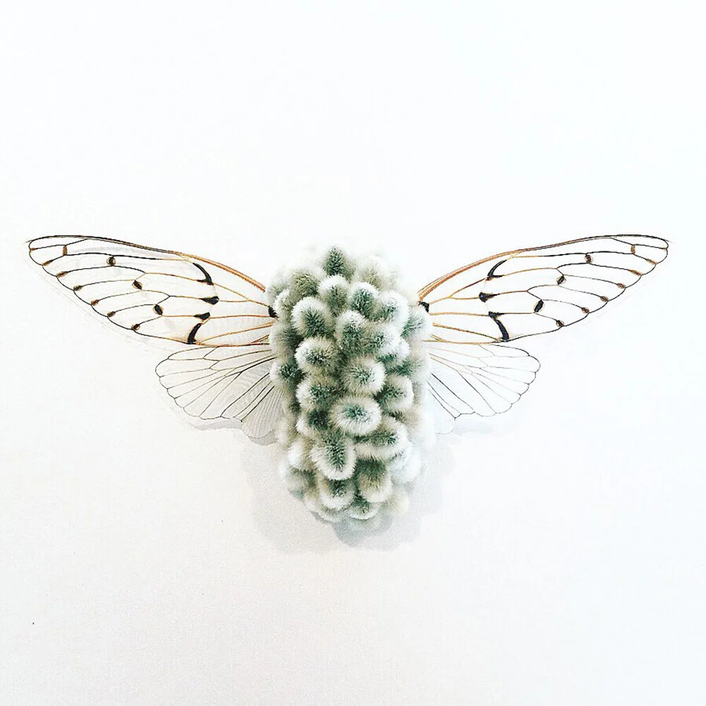Adrienne DeLoe | Mutation #8 | Real Cicada and Pussy Willows | 2019
