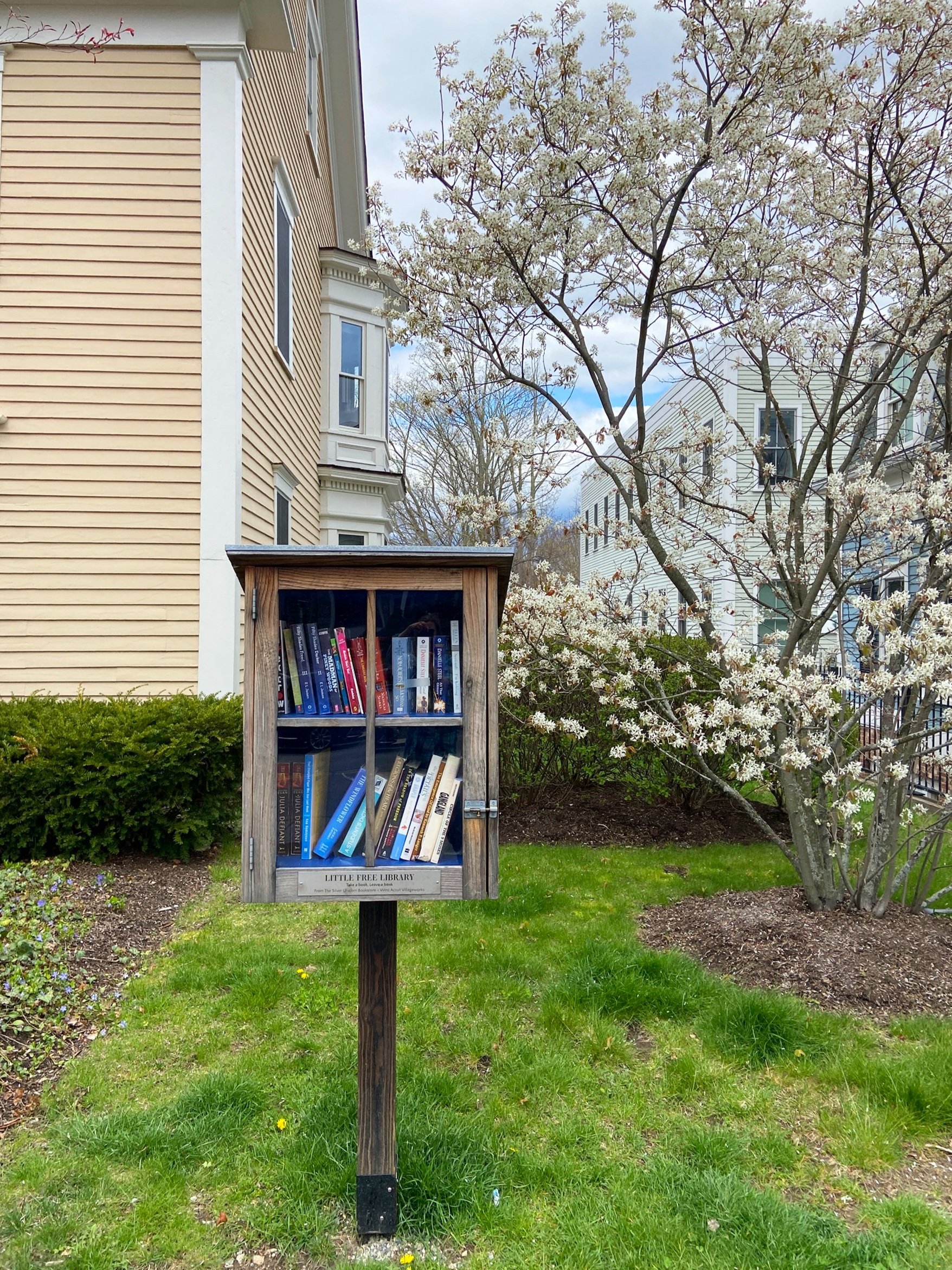 Little+Library+in+Spring.jpg