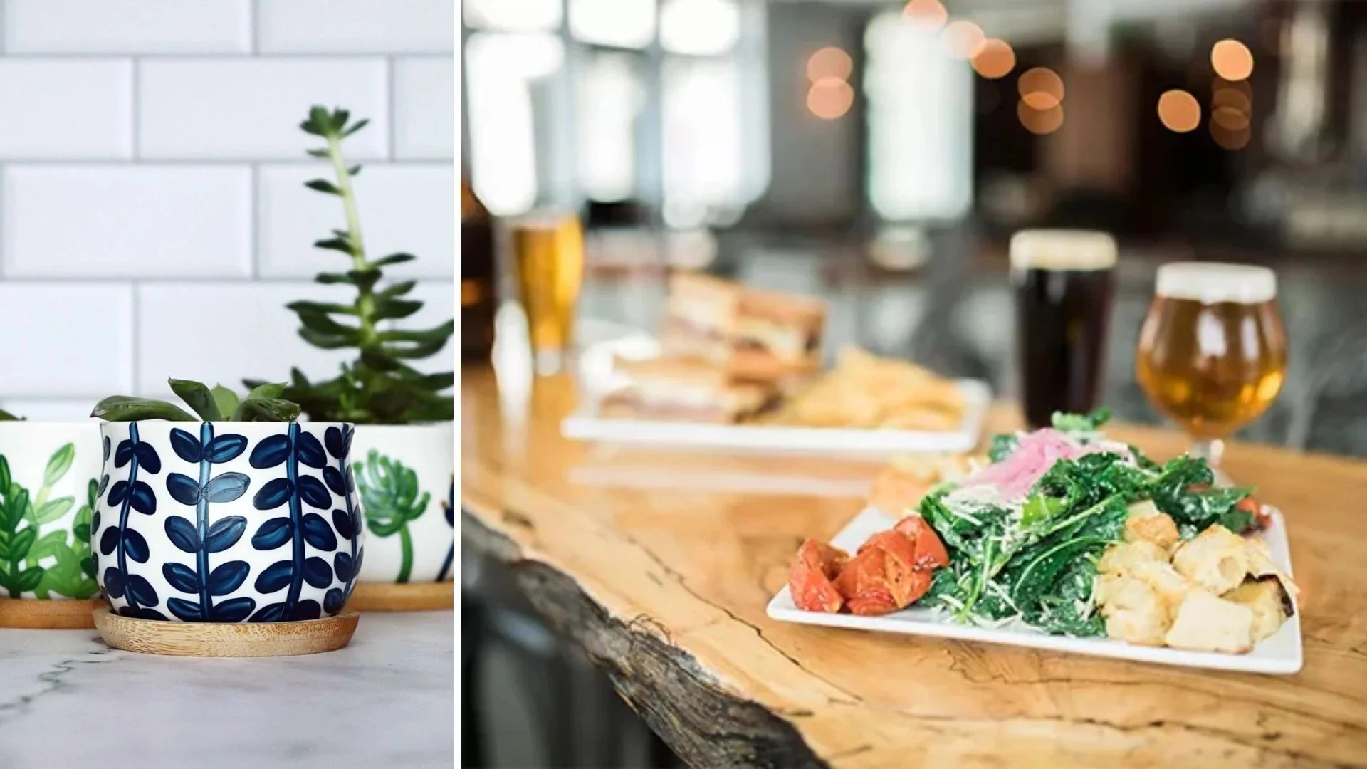 True West Summer Succulents Paint and Sip