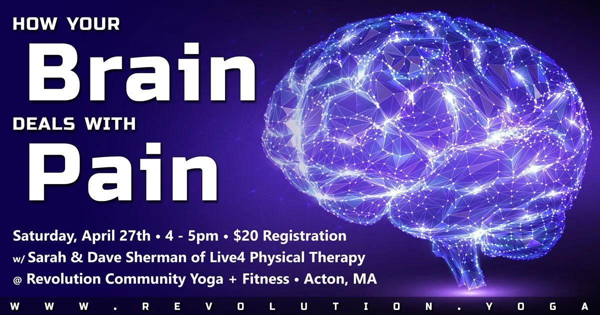 How Your Brain Deals with Pain: RCY + LIVE4 PT Workshop