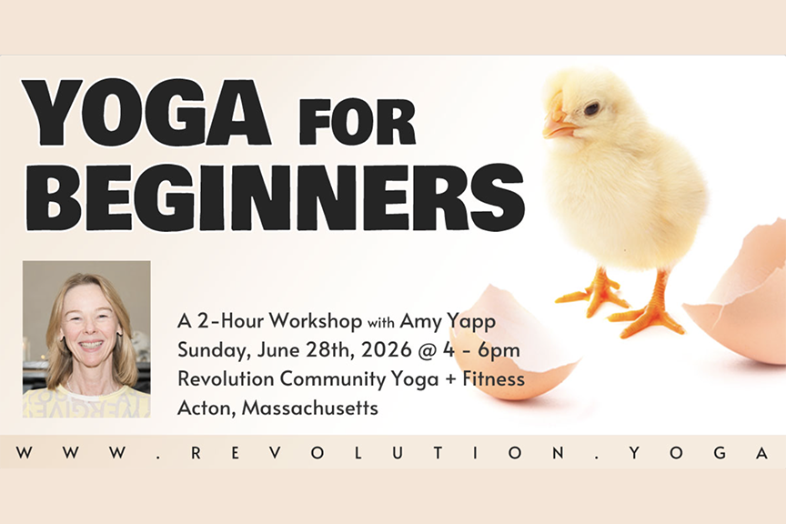 Yoga for Beginners Workshop @ RCY