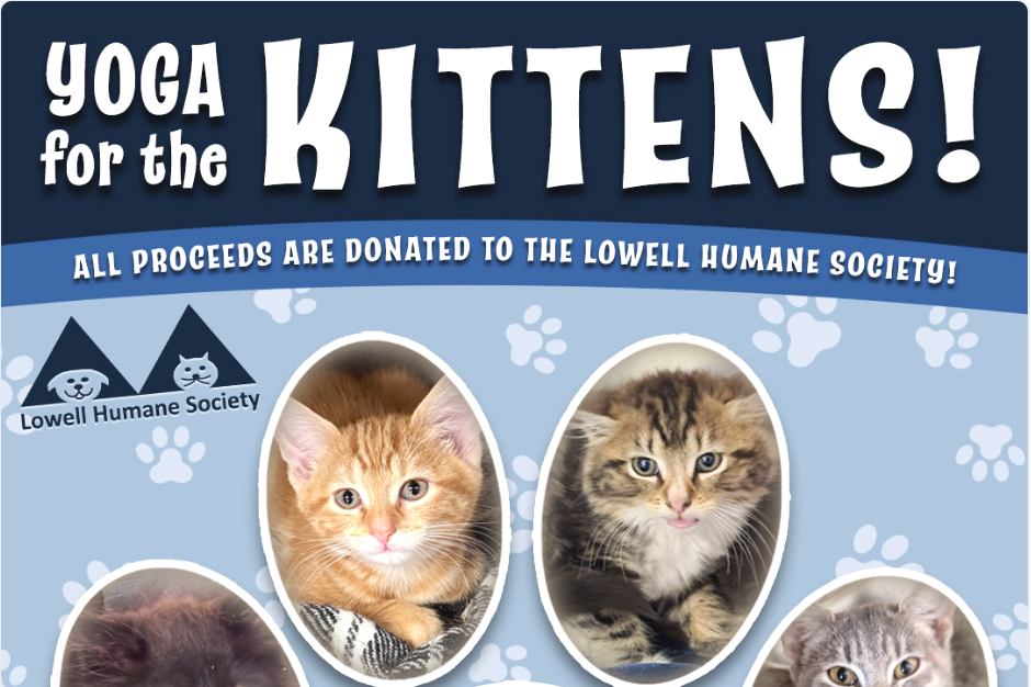 Yoga for Kittens @ RCY