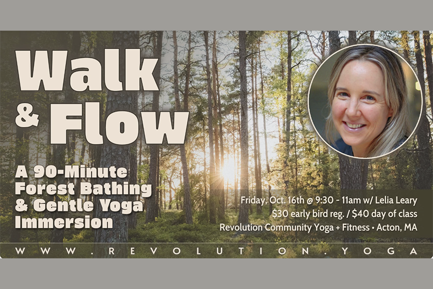 Walk &amp; Flow – Forest Bathing &amp; Mindful Flow Yoga @ RCY