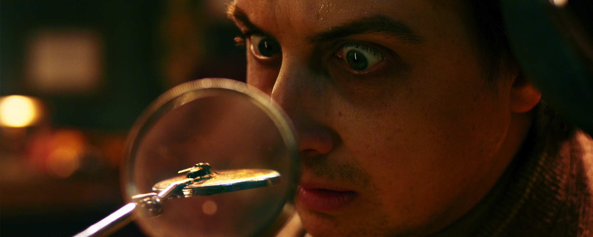 AOG_Oswald & Fly.png