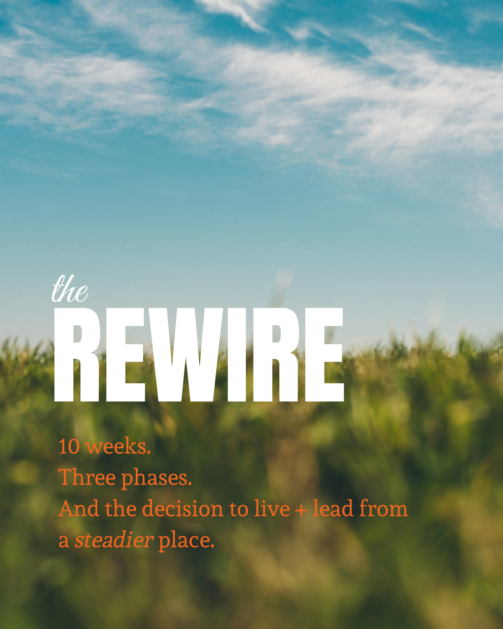 The Rewire - BETA Cohort