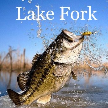 Lake Fork.jpg