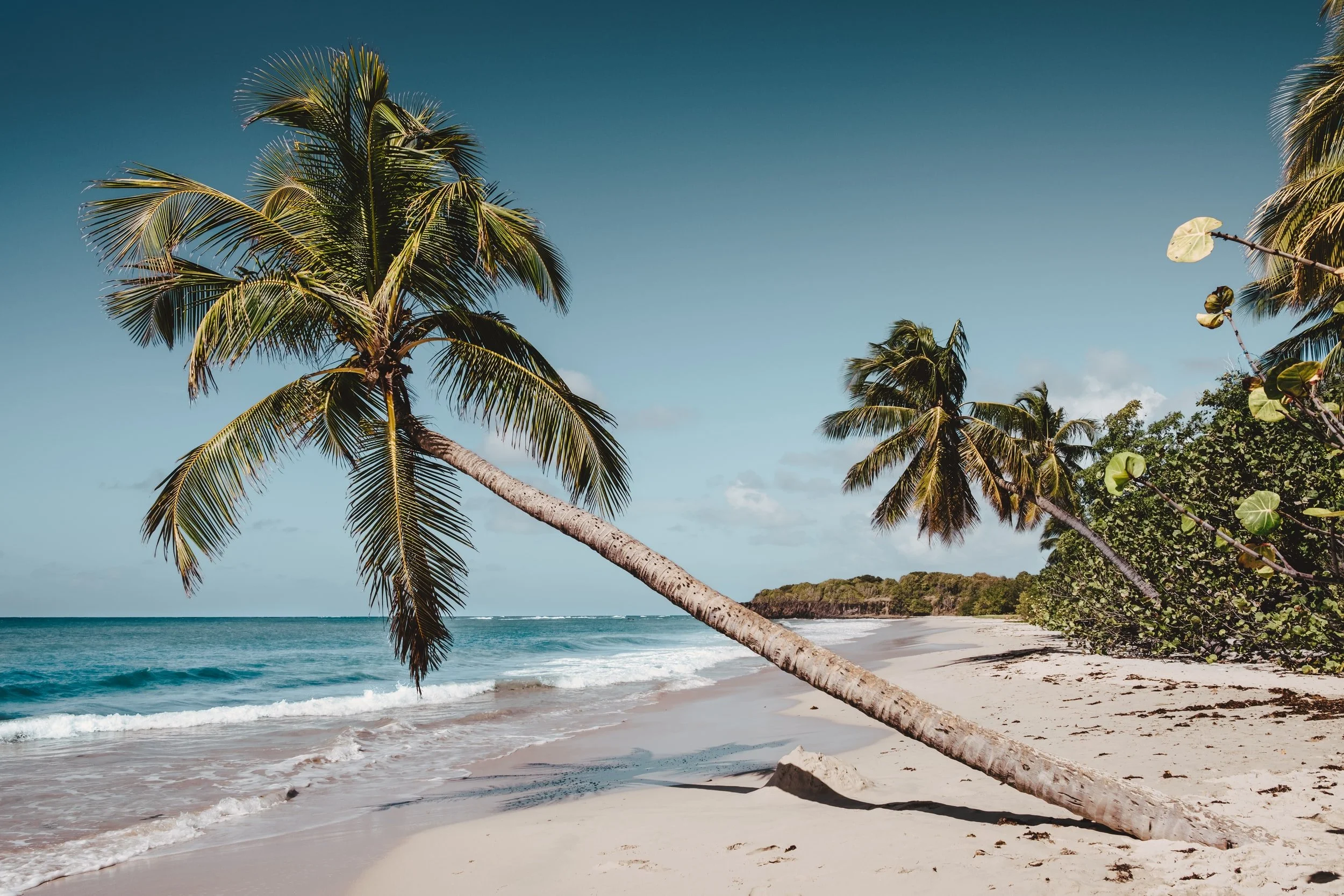 unsplash-image-1VYdx37vOGQ.jpg