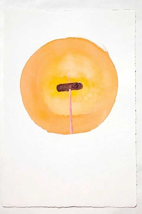 Poop on a Stick