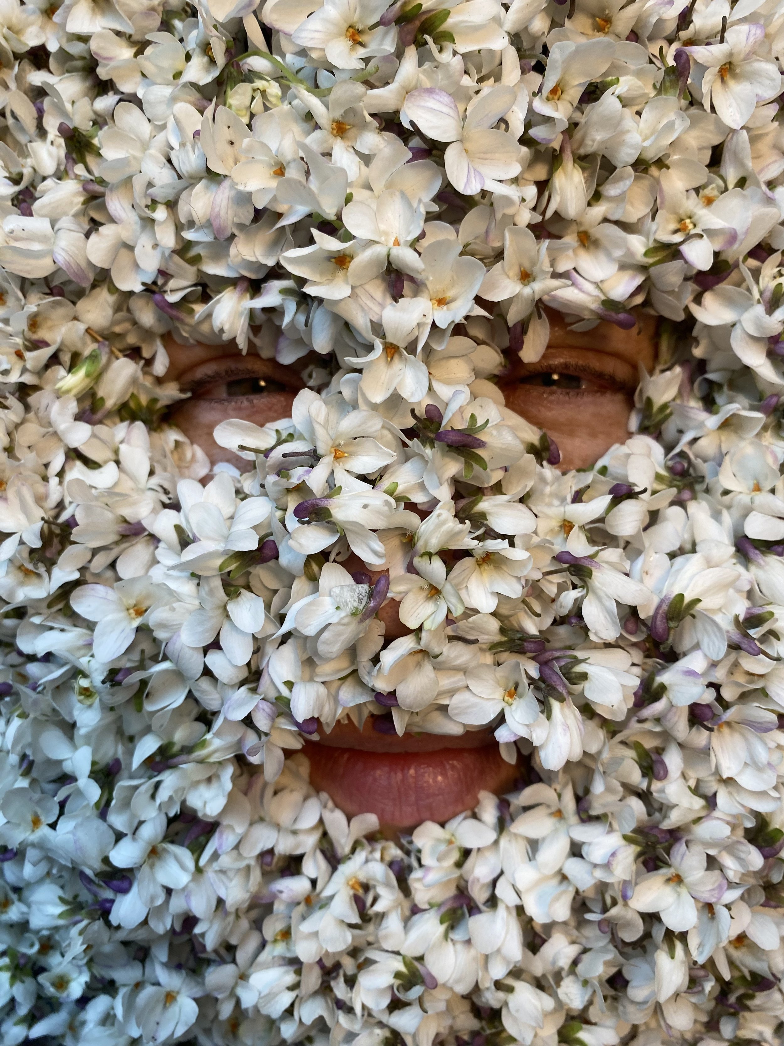 Writings on Plants &amp; Neuroexpansiveness