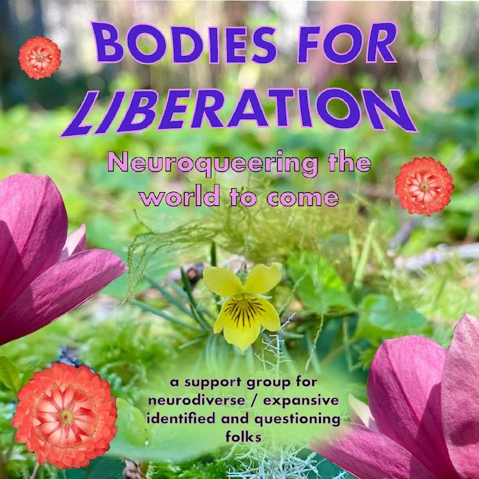Register for Bodies of Liberation