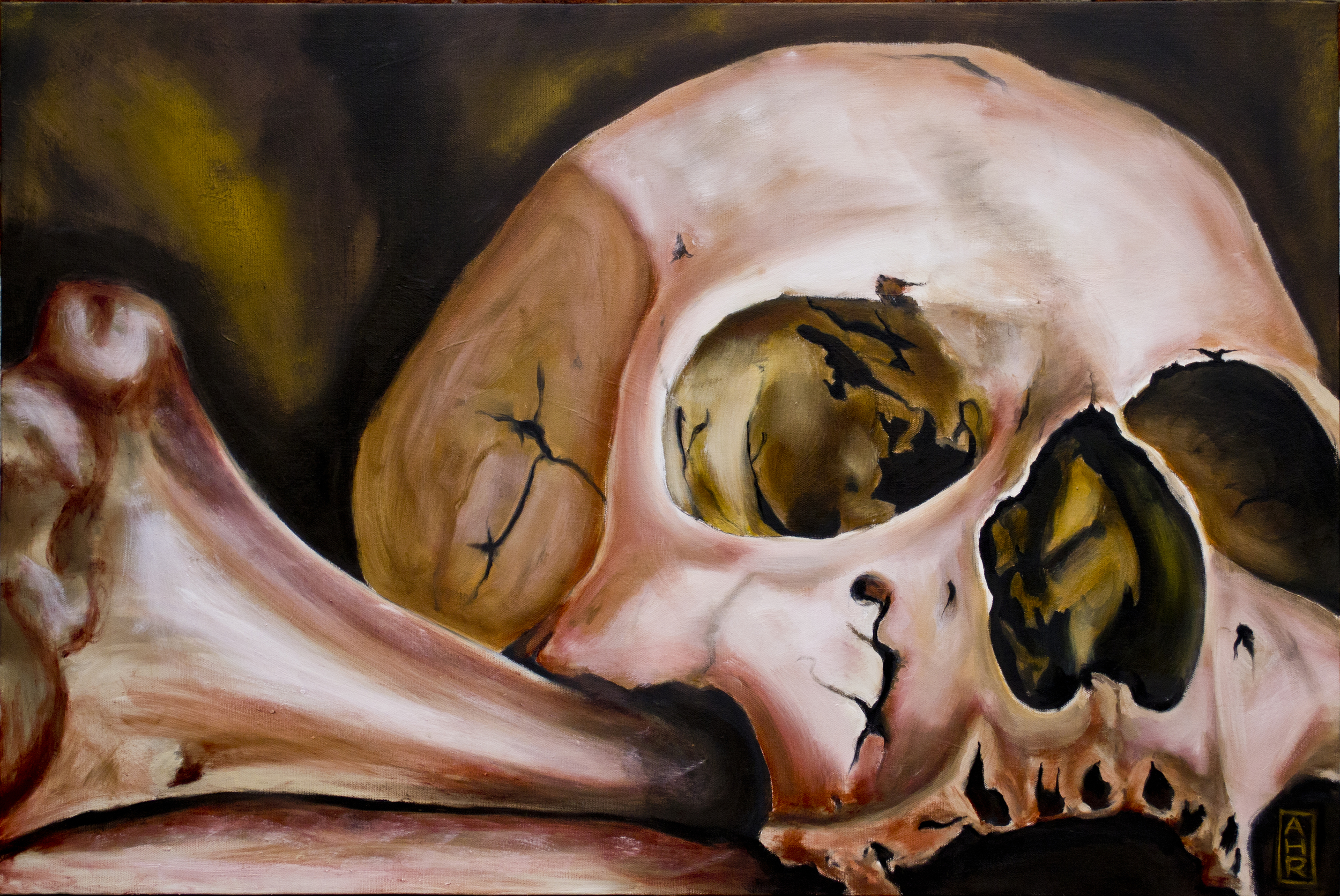 Skull Study