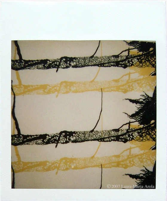 Tall Tree II Polaroid of screen print