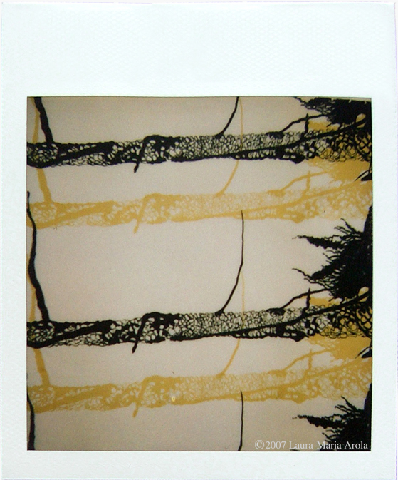   Tall Tree   II  Polaroid of Screen Print     
