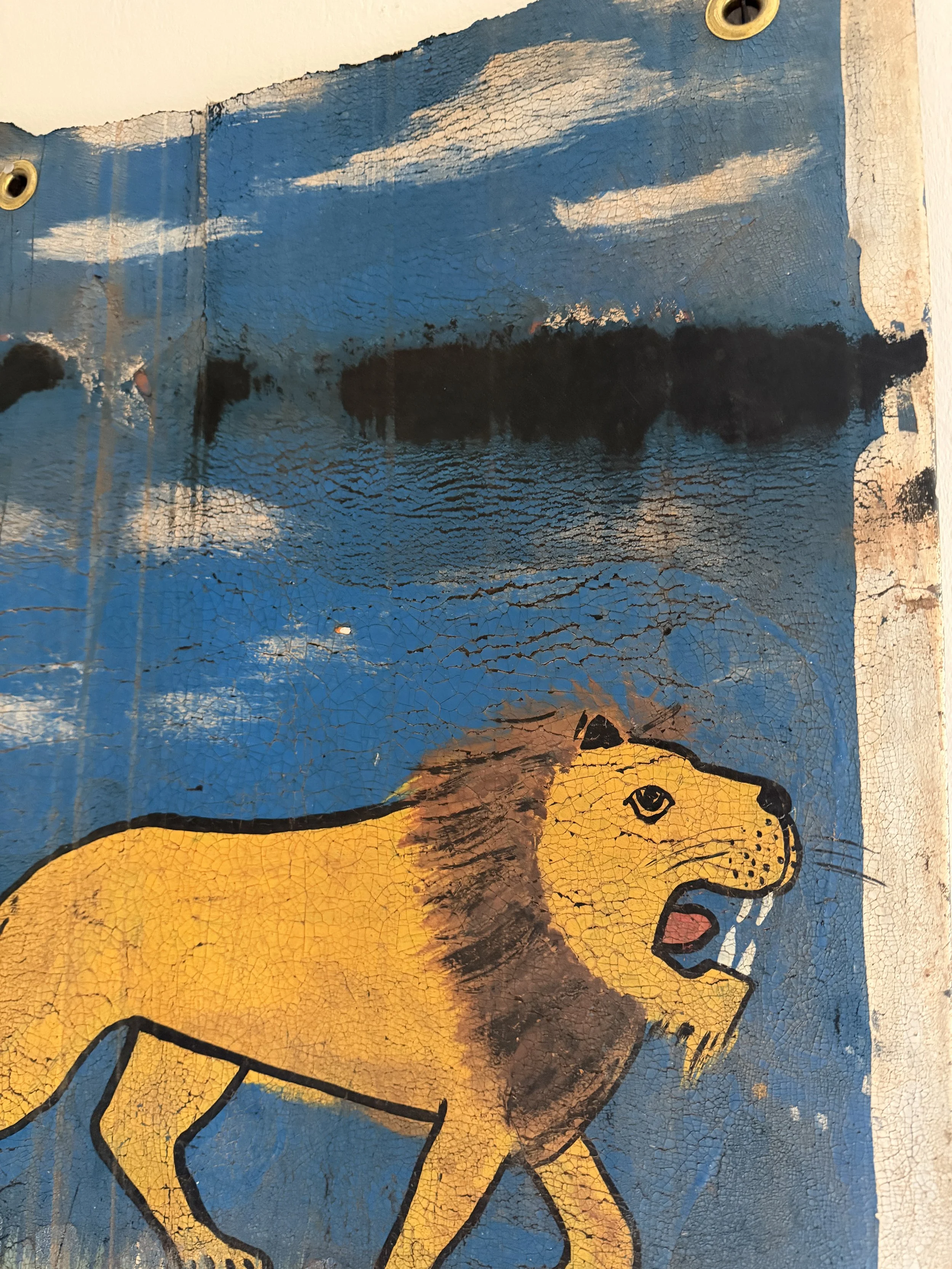 lion2.jpg