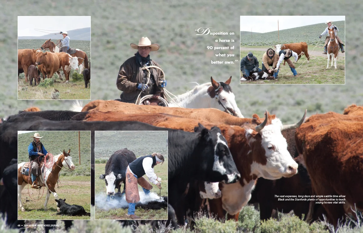 01-Ranch-Paints3.jpg