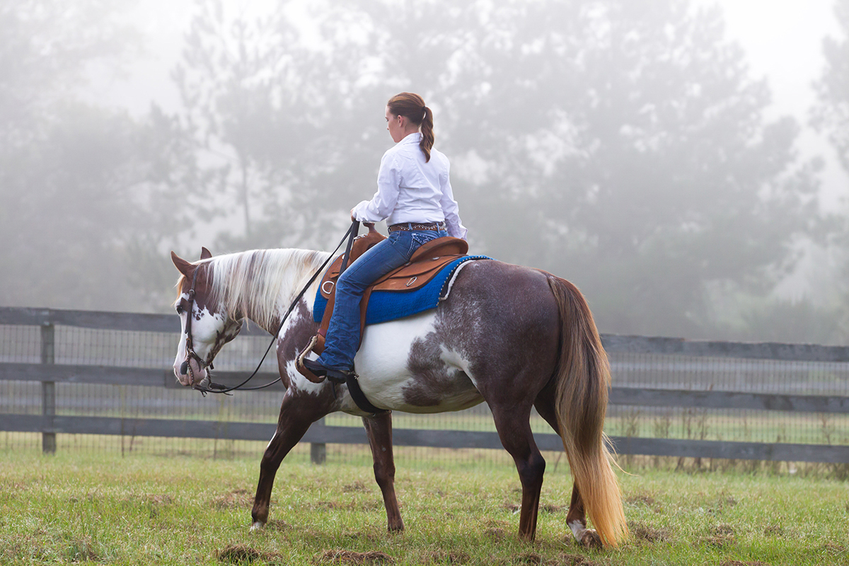 Appaloosa Warrior Horse - Made and Curated