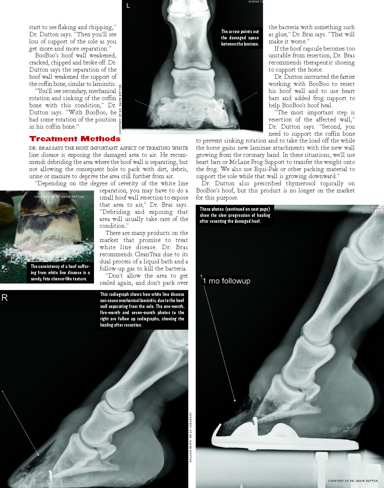 White Line Disease_Page_3.jpg