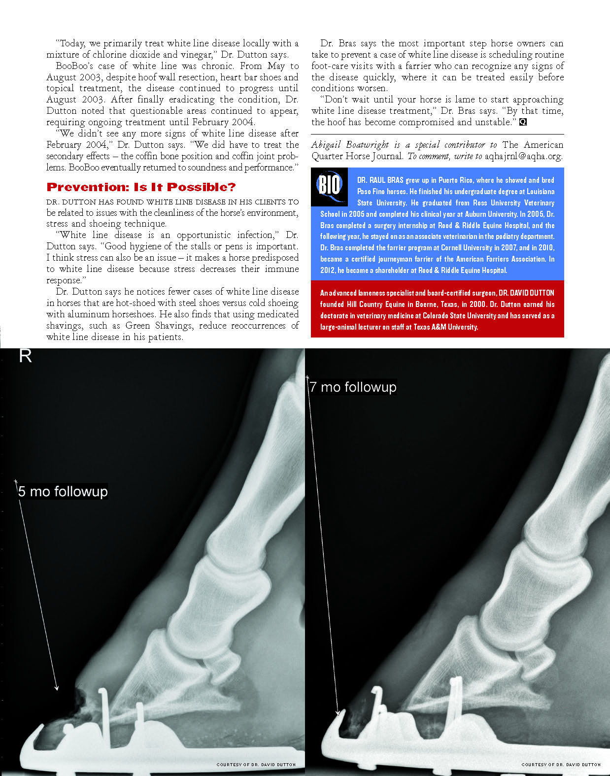 White Line Disease_Page_4.jpg