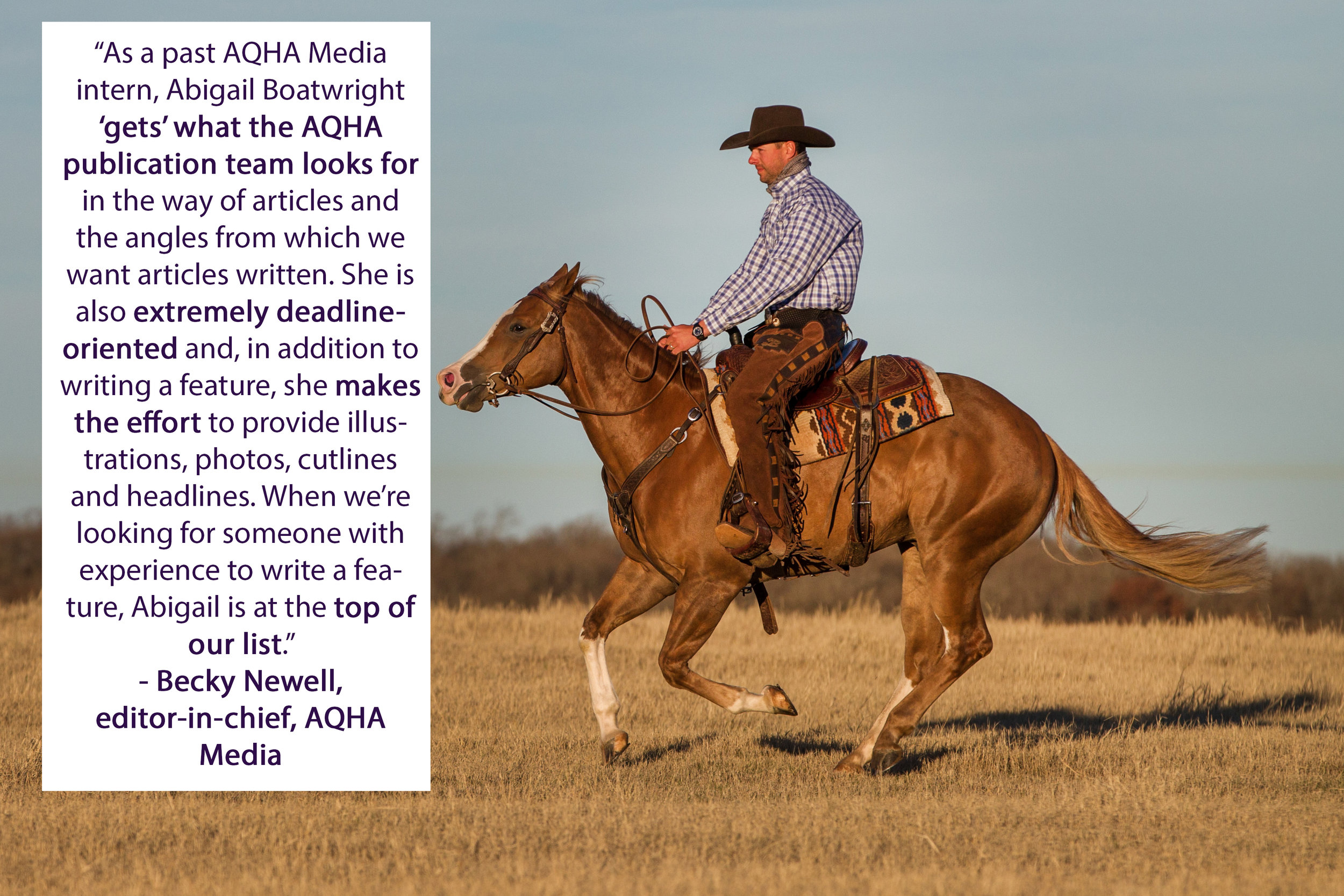 AQHA testimonial.jpg