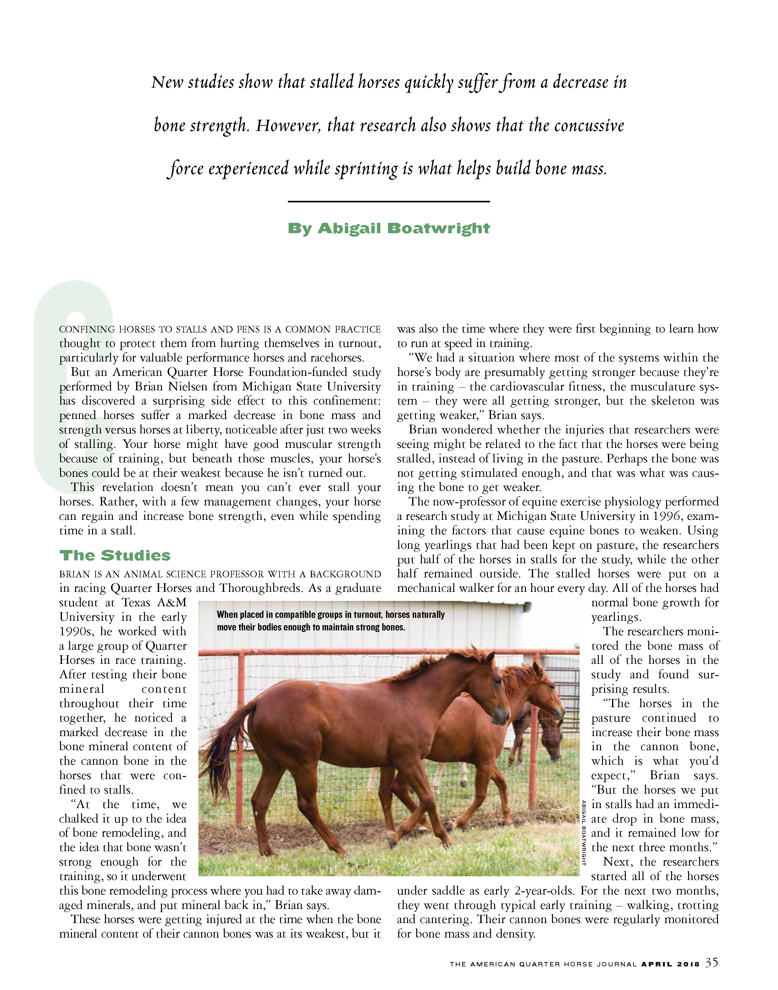 G13 AQHA Research - bone loss_Page_2.jpg