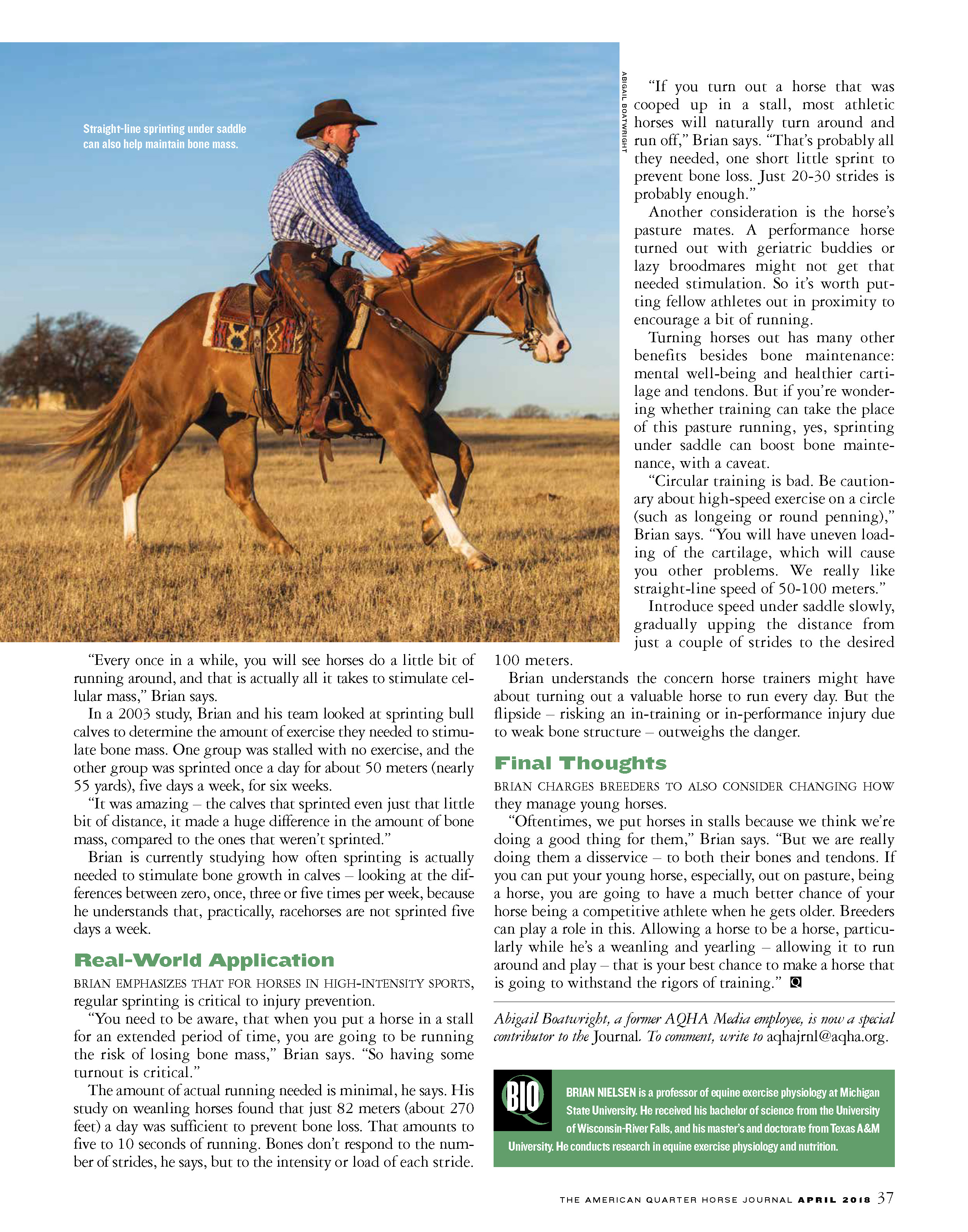 G13 AQHA Research - bone loss_Page_4.jpg