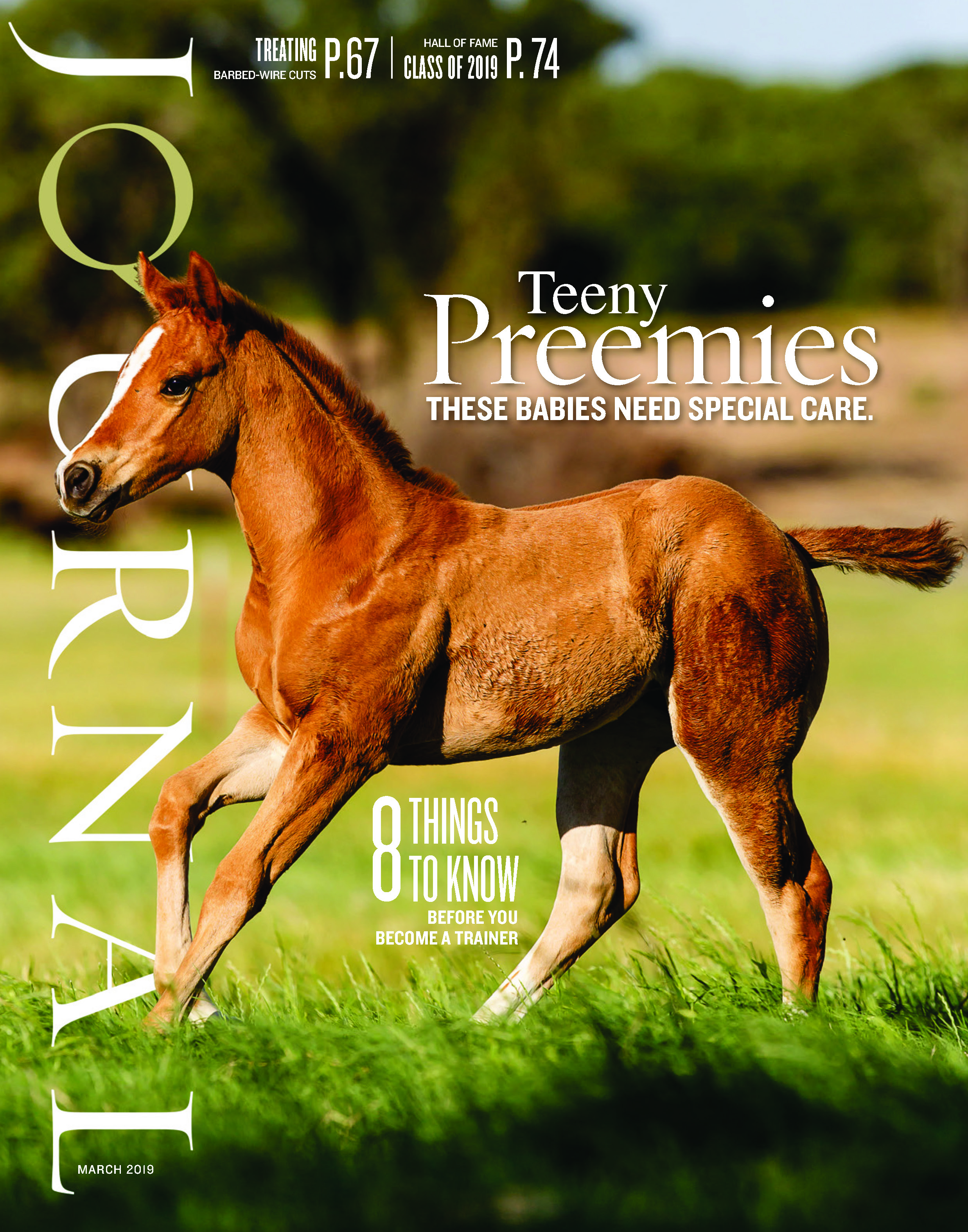 G1 Front Cover March 19 DIGITAL Foal.jpg