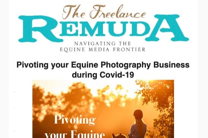 Newsletter: Freelance Remuda