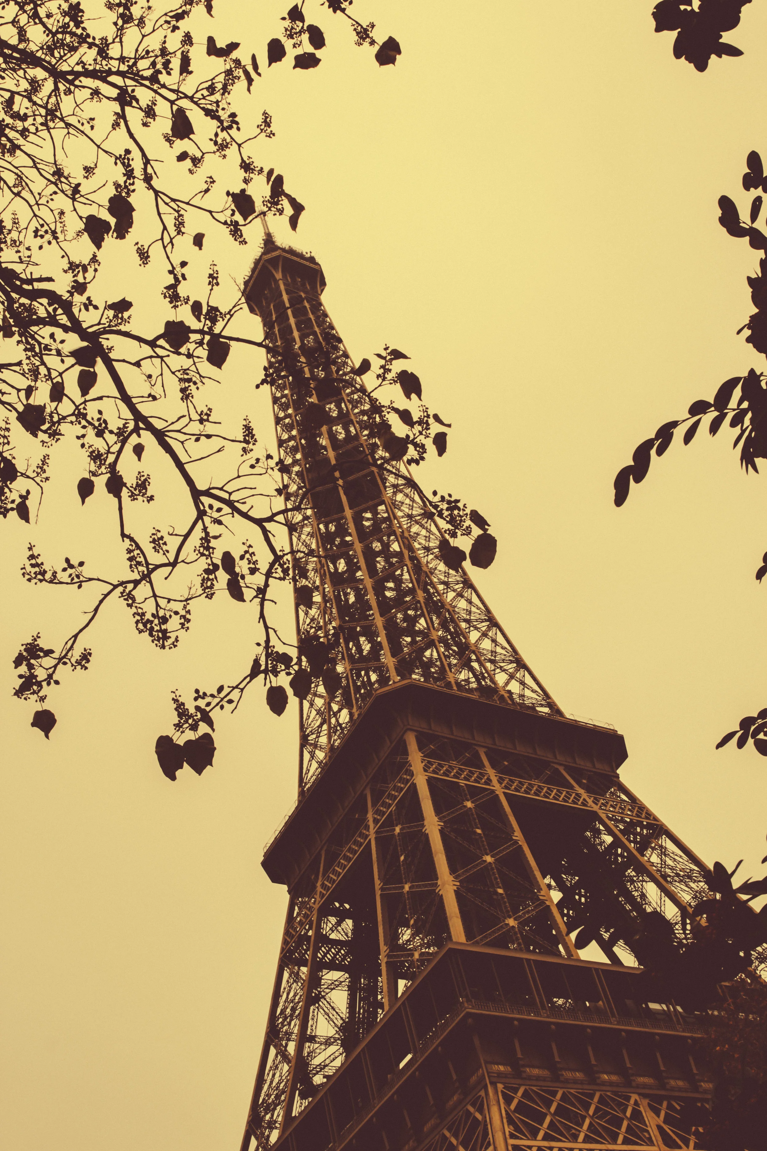 A Lovely Moment || Paris, France
